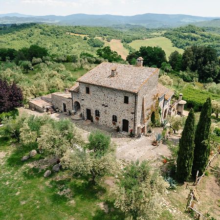 L'Ottava Goccia Country House Tolfa Buitenkant foto