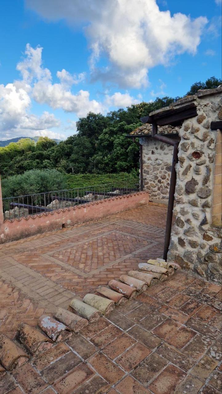 L'Ottava Goccia Country House Tolfa Buitenkant foto